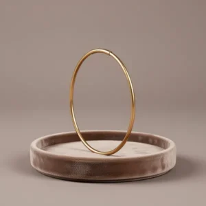 FOCALOOK 14K Gold Plated Large Hoops 2mm Thin Hoop Earrings