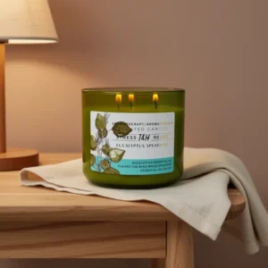 Eucalyptus Spearmint Scented Candle, 15.8 oz